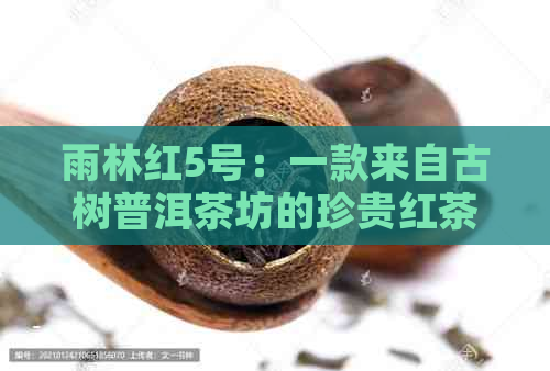 雨林红5号：一款来自古树普洱茶坊的珍贵红茶价格解析