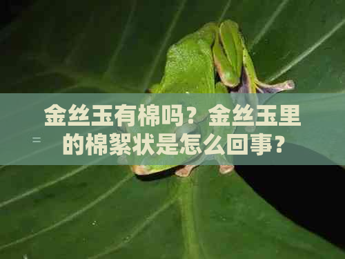 金丝玉有棉吗？金丝玉里的棉絮状是怎么回事？