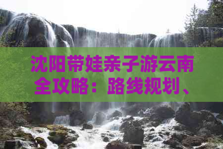 沈阳带娃亲子游云南全攻略：路线规划、景点推荐、住宿及美食一应俱全