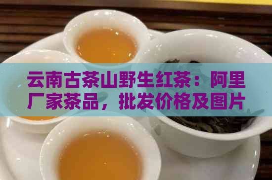 云南古茶山野生红茶：阿里厂家茶品，批发价格及图片