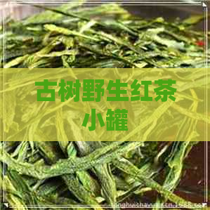 古树野生红茶小罐