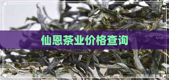 仙恩茶业价格查询