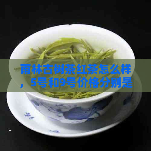 雨林古树茶红茶怎么样，5号和9号价格分别是多少？