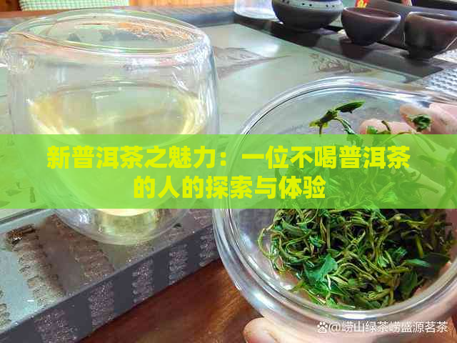 新普洱茶之魅力：一位不喝普洱茶的人的探索与体验