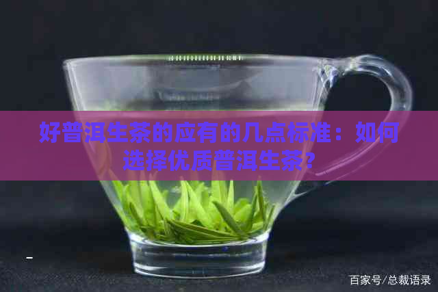 好普洱生茶的应有的几点标准：如何选择优质普洱生茶？