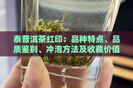 泰普洱茶红印：品种特点、品质鉴别、冲泡方法及收藏价值全方位解析