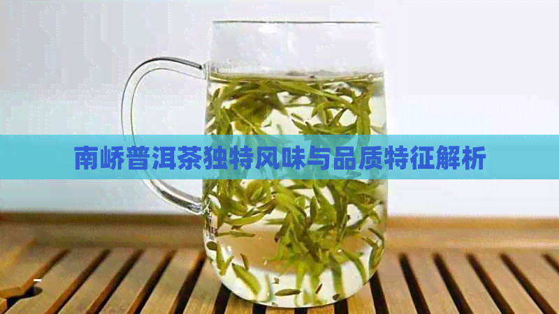 南峤普洱茶独特风味与品质特征解析