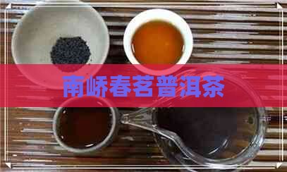 南峤春茗普洱茶