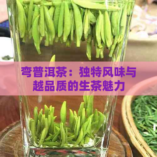 弯普洱茶：独特风味与越品质的生茶魅力