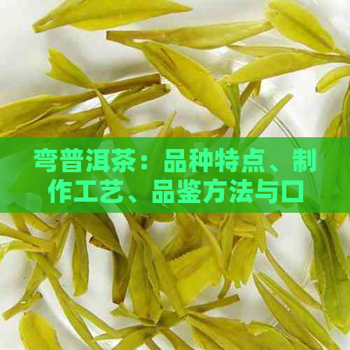 弯普洱茶：品种特点、制作工艺、品鉴方法与口感评价的全面指南