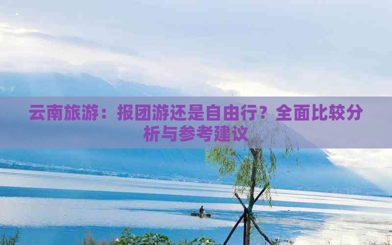 云南旅游：报团游还是自由行？全面比较分析与参考建议