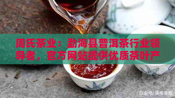 周氏茶业：勐海县普洱茶行业领导者，官方网站提供优质茶叶产品