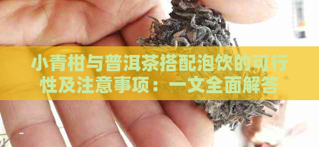 小青柑与普洱茶搭配泡饮的可行性及注意事项：一文全面解答