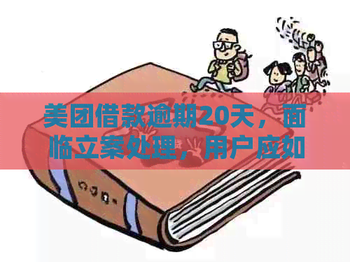 美团借款逾期20天，面临立案处理，用户应如何解决此问题及可能的后果？