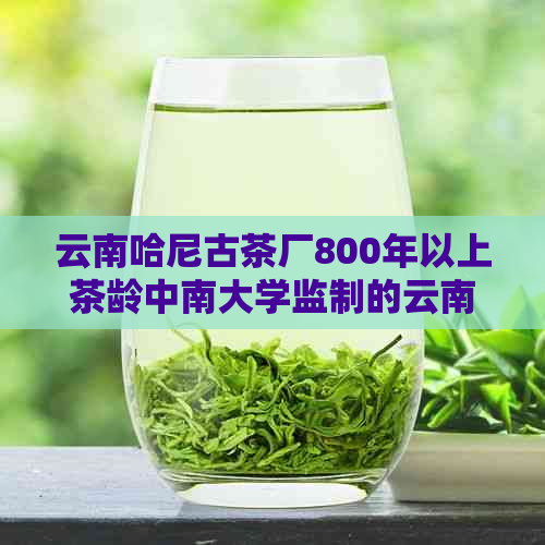 云南哈尼古茶厂800年以上茶龄中南大学监制的云南哈尼古树茶价格。