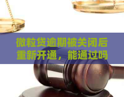 微粒贷逾期被关闭后重新开通，能通过吗？如何解决？