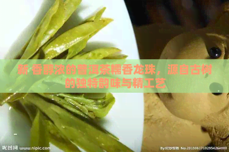 新 香醇浓的普洱茶糯香龙珠，源自古树的独特韵味与精工艺