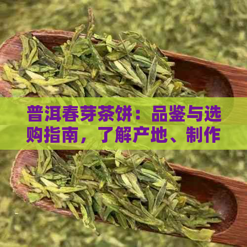 普洱春芽茶饼：品鉴与选购指南，了解产地、制作工艺和口感特点