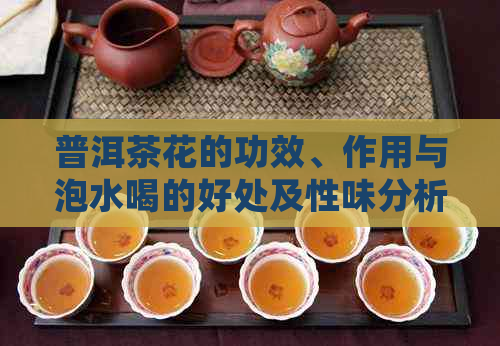 普洱茶花的功效、作用与泡水喝的好处及性味分析