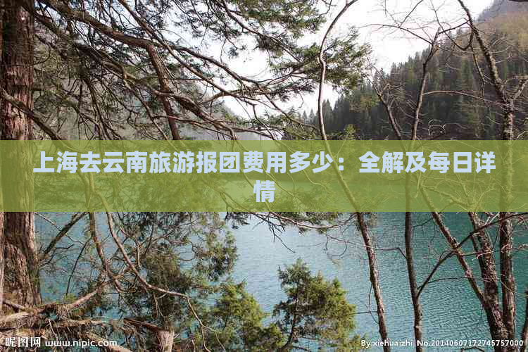 上海去云南旅游报团费用多少：全解及每日详情