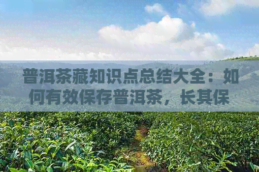 普洱茶藏知识点总结大全：如何有效保存普洱茶，长其保质期？