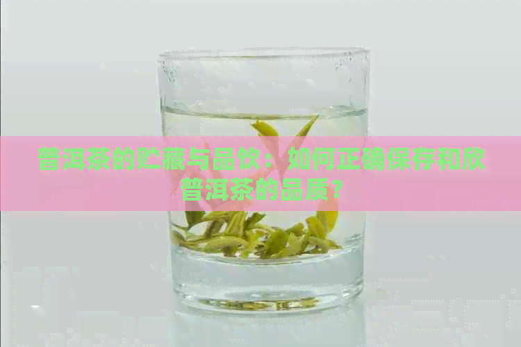 普洱茶的贮藏与品饮：如何正确保存和欣普洱茶的品质？