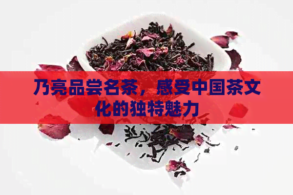 乃亮品尝名茶，感受中国茶文化的独特魅力