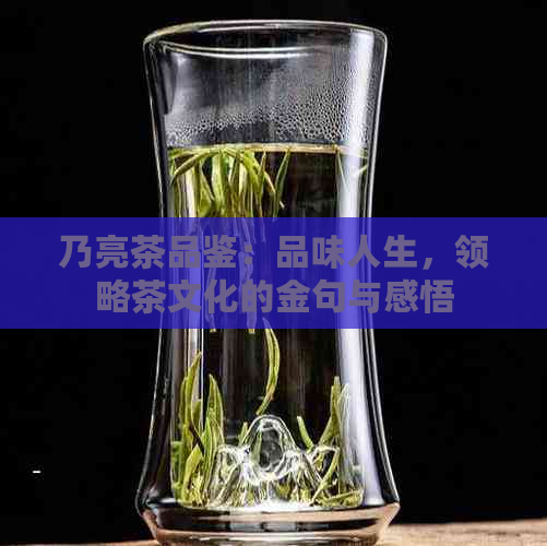 乃亮茶品鉴：品味人生，领略茶文化的金句与感悟