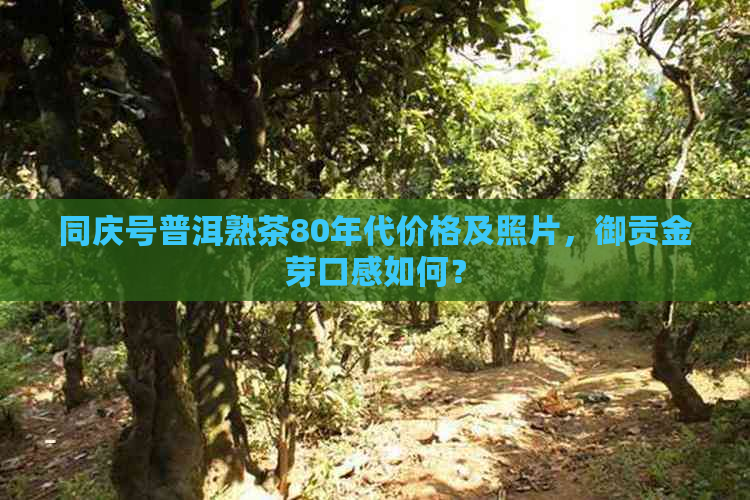 同庆号普洱熟茶80年代价格及照片，御贡金芽口感如何？