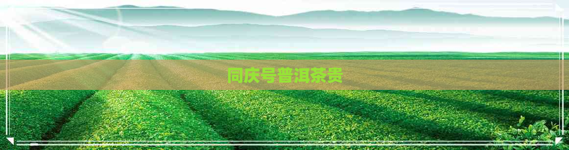 同庆号普洱茶贵