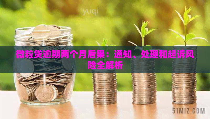 微粒贷逾期两个月后果：通知、处理和起诉风险全解析