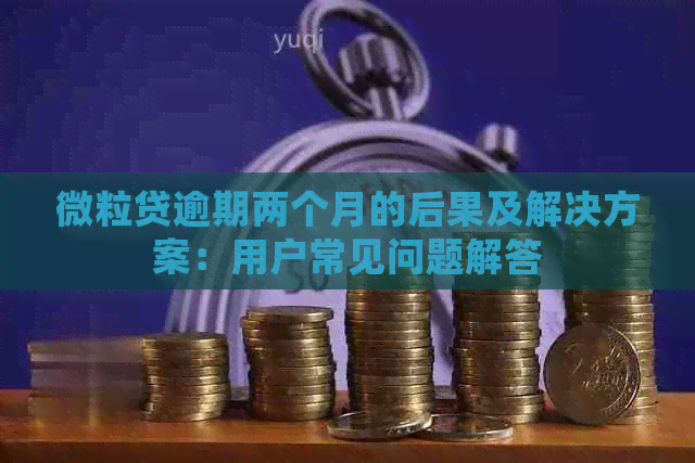 微粒贷逾期两个月的后果及解决方案：用户常见问题解答