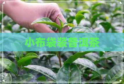 小布袋装普洱茶