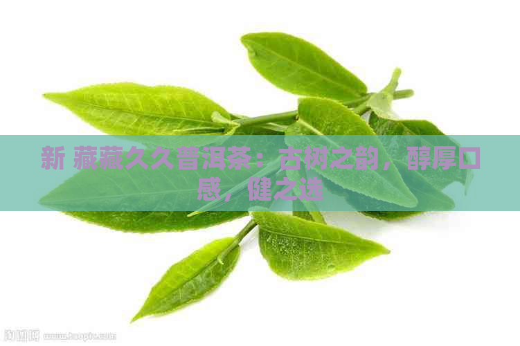 新 藏藏久久普洱茶：古树之韵，醇厚口感，健之选