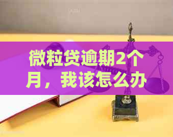 微粒贷逾期2个月，我该怎么办？逾期后果和解决方法一文解析