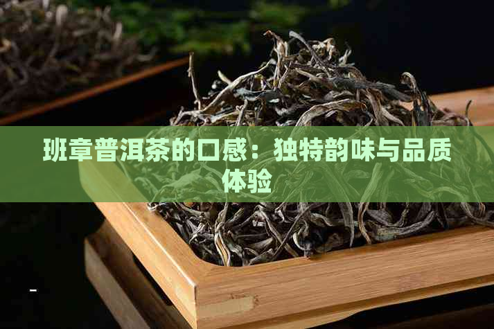 班章普洱茶的口感：独特韵味与品质体验