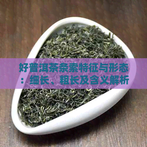 好普洱茶条索特征与形态：细长、粗长及含义解析