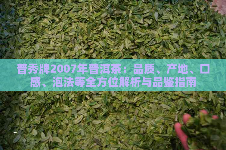 普秀牌2007年普洱茶：品质、产地、口感、泡法等全方位解析与品鉴指南