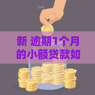 新 逾期1个月的小额贷款如何解决？了解正确处理方式！