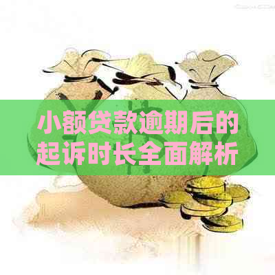 小额贷款逾期后的起诉时长全面解析：你会在多久后收到起诉通知？