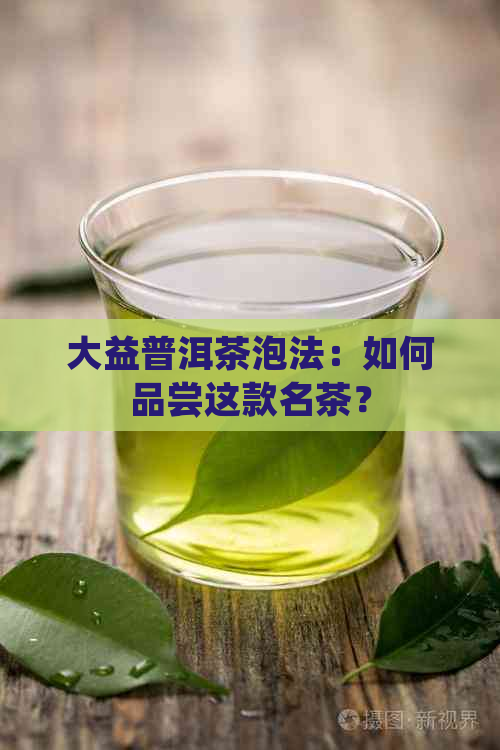 大益普洱茶泡法：如何品尝这款名茶？