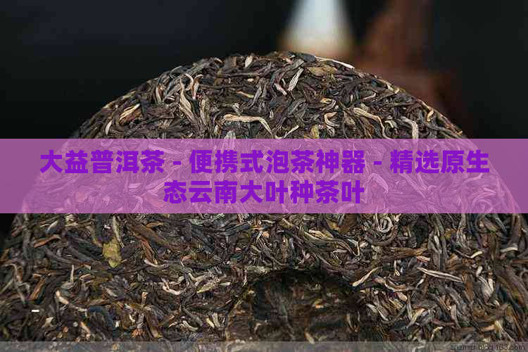 大益普洱茶 - 便携式泡茶神器 - 精选原生态云南大叶种茶叶