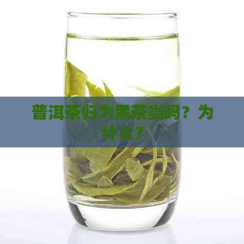 普洱茶归为黑茶类吗？为什么？