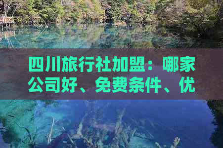 四川旅行社加盟：哪家公司好、免费条件、优劣及加盟费用一览