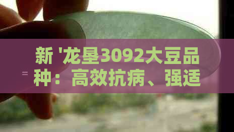 新 '龙垦3092大豆品种：高效抗病、强适应性，助力全球农业创新'