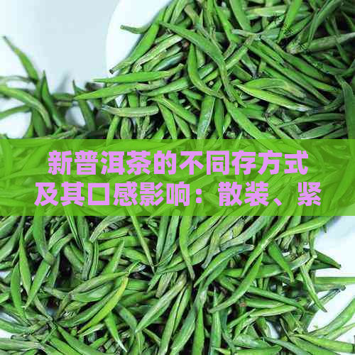 新普洱茶的不同存方式及其口感影响：散装、紧压、熟化对比分析