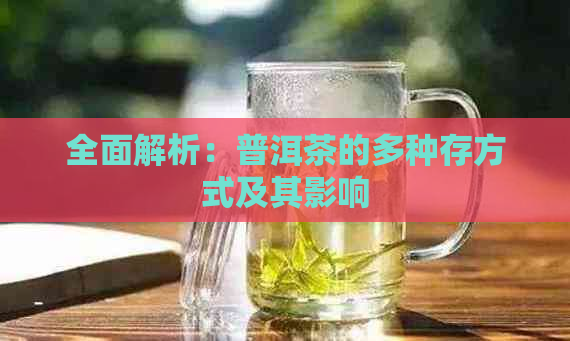 全面解析：普洱茶的多种存方式及其影响