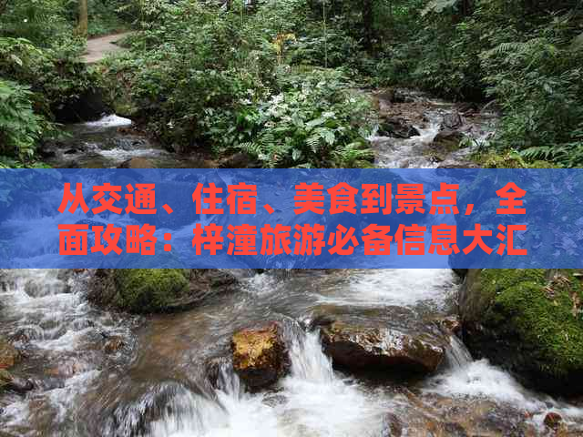 从交通、住宿、美食到景点，全面攻略：梓潼旅游必备信息大汇总