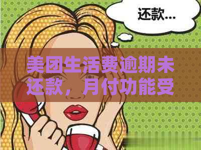 美团生活费逾期未还款，月付功能受限的后果分析