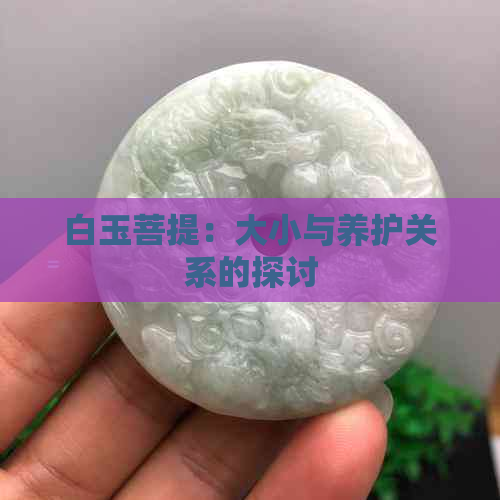 白玉菩提：大小与养护关系的探讨